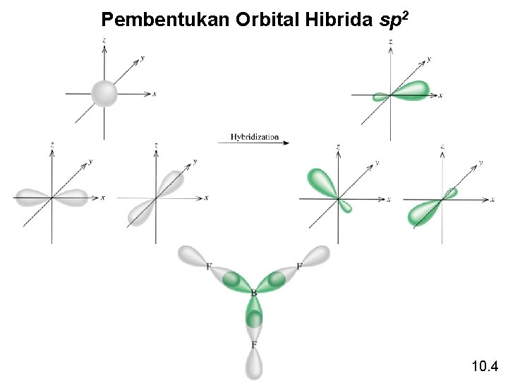 Pembentukan Orbital Hibrida sp 2 10. 4 