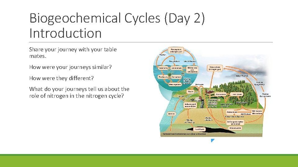 Biogeochemical Cycles (Day 2) Introduction Share your journey with your table mates. How were