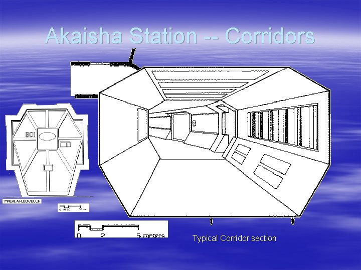 Akaisha Station -- Corridors Typical Corridor section 