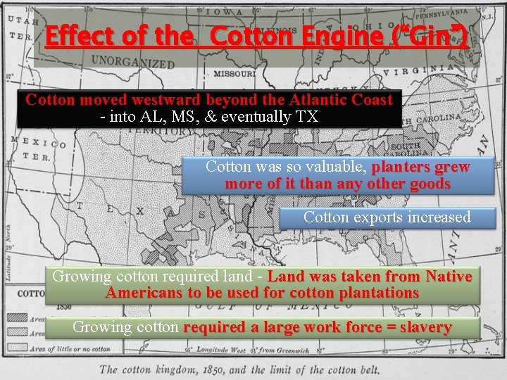 Effect of the Cotton Engine (“Gin”) Cotton moved westward beyond the Atlantic Coast -
