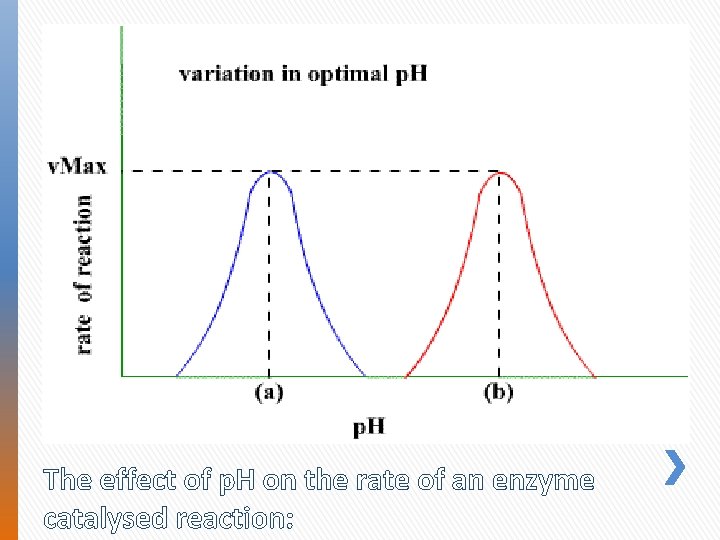 The effect of p. H on the rate of an enzyme catalysed reaction: 