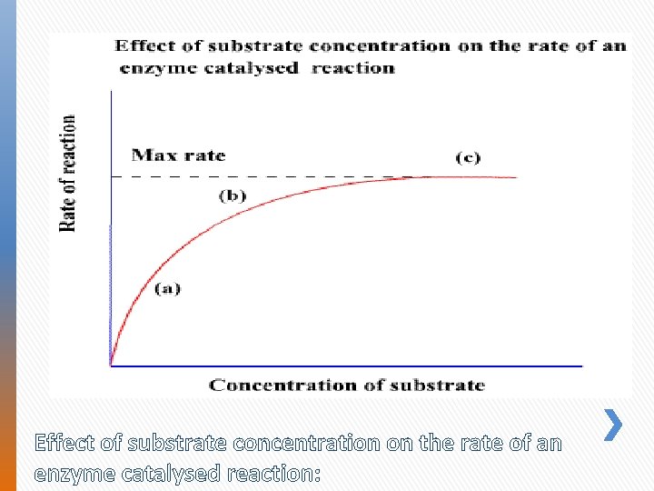 Effect of substrate concentration on the rate of an enzyme catalysed reaction: 