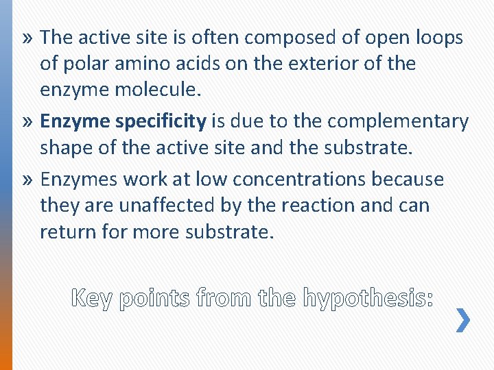 » The active site is often composed of open loops of polar amino acids