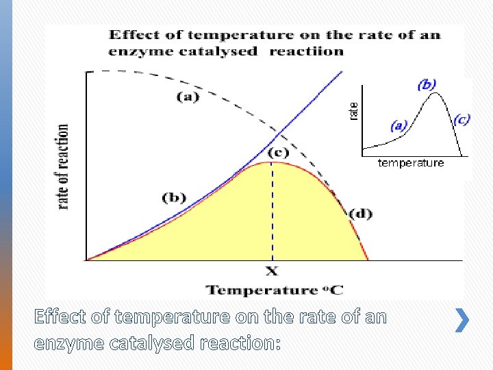 Effect of temperature on the rate of an enzyme catalysed reaction: 