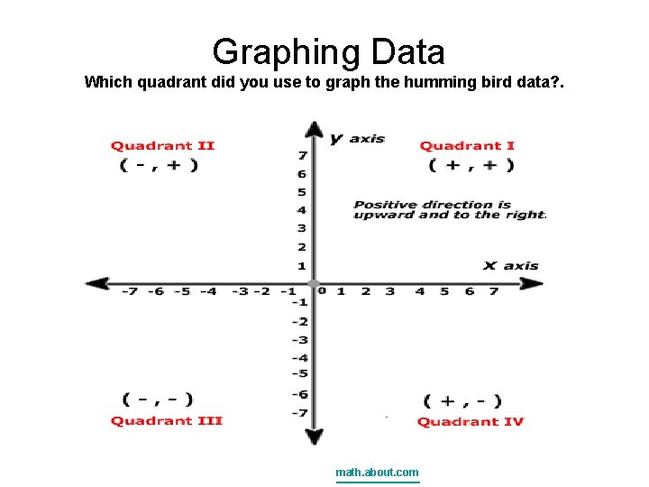 Graphing Data Which quadrant did you use to graph the humming bird data? .