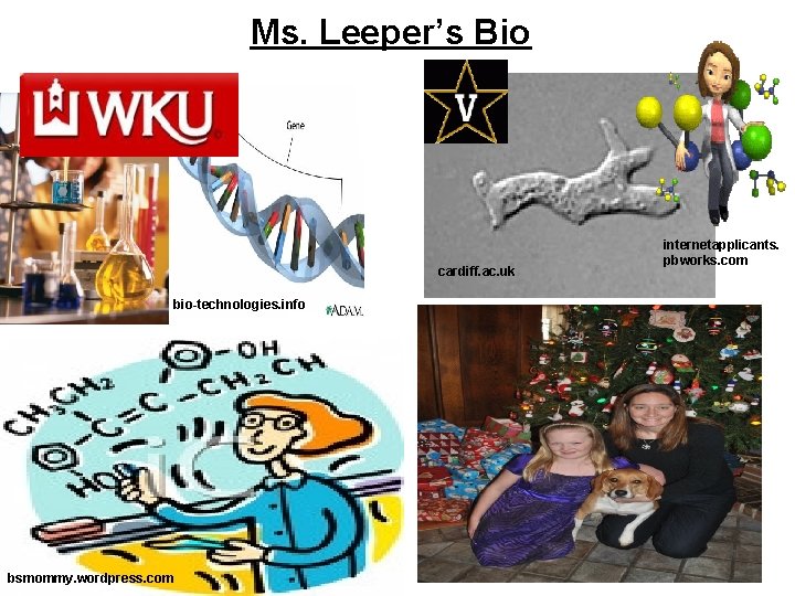 Ms. Leeper’s Bio cardiff. ac. uk bio-technologies. info txstate. edu bsmommy. wordpress. com internetapplicants.