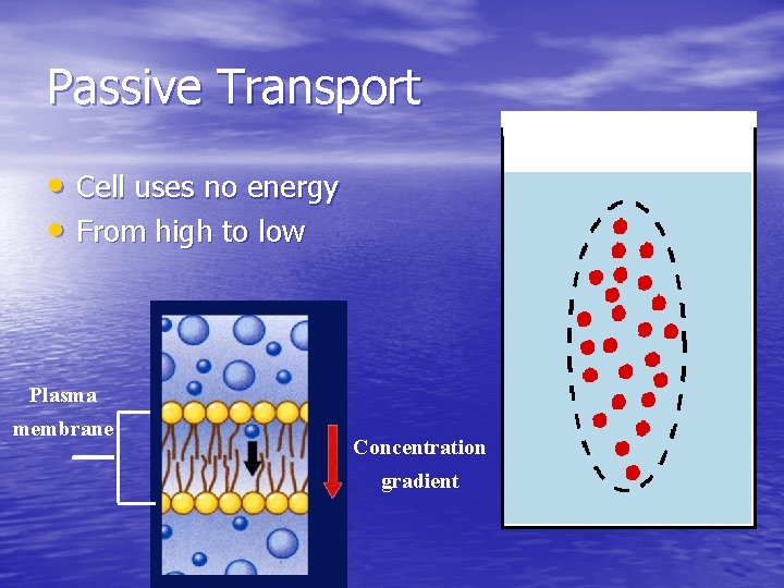 Passive Transport • Cell uses no energy • From high to low Plasma membrane