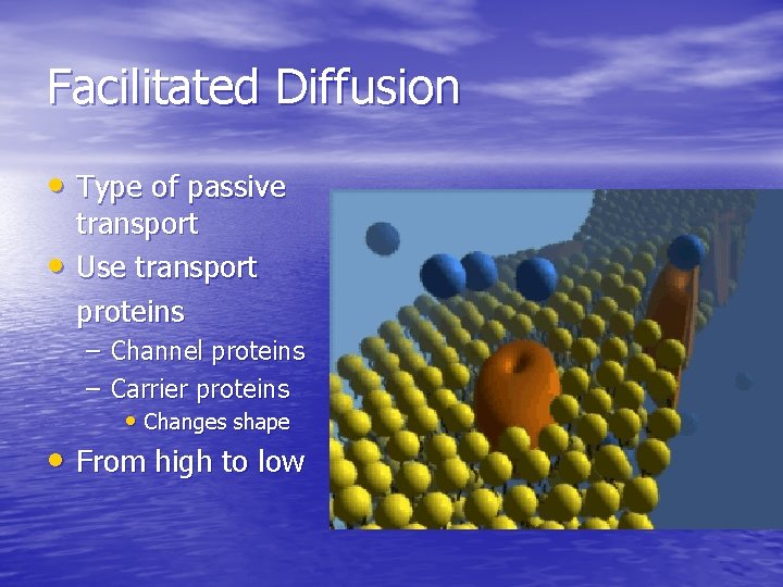 Facilitated Diffusion • Type of passive • transport Use transport proteins – Channel proteins