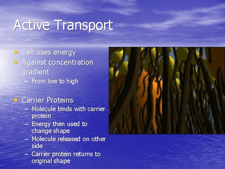 Active Transport • Cell uses energy • Against concentration gradient – From low to