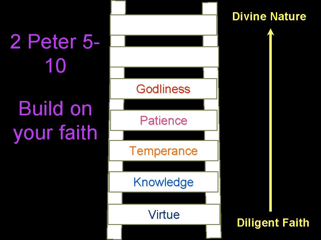 Divine Nature 2 Peter 510 Godliness Build on your faith Patience Temperance Knowledge Virtue