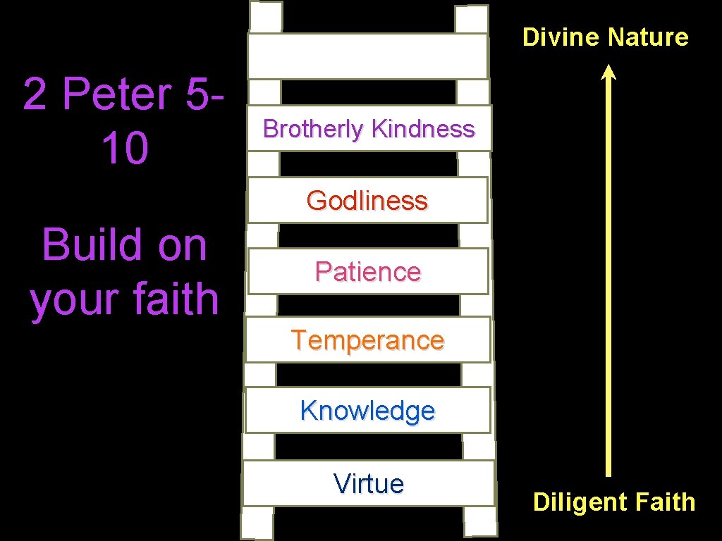Divine Nature 2 Peter 510 Brotherly Kindness Godliness Build on your faith Patience Temperance