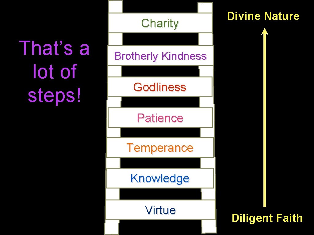 Charity That’s a lot of steps! Divine Nature Brotherly Kindness Godliness Patience Temperance Knowledge