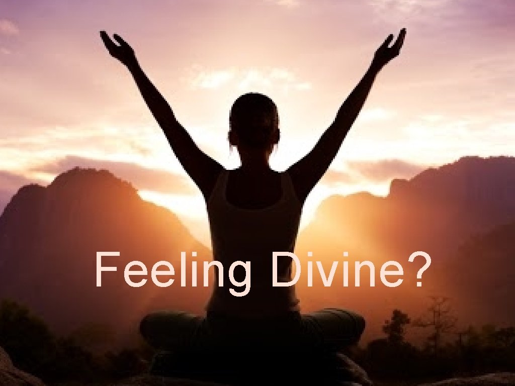 Feeling Divine? 