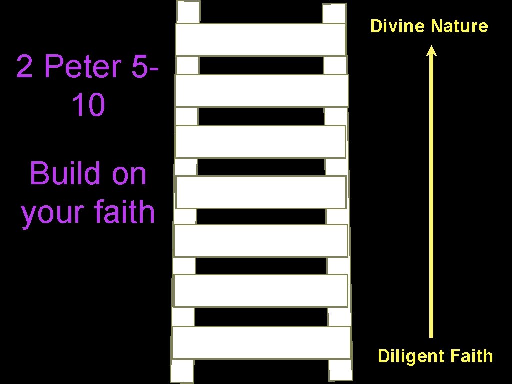 Divine Nature 2 Peter 510 Build on your faith Diligent Faith 