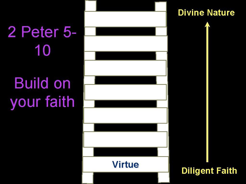 Divine Nature 2 Peter 510 Build on your faith Virtue Diligent Faith 