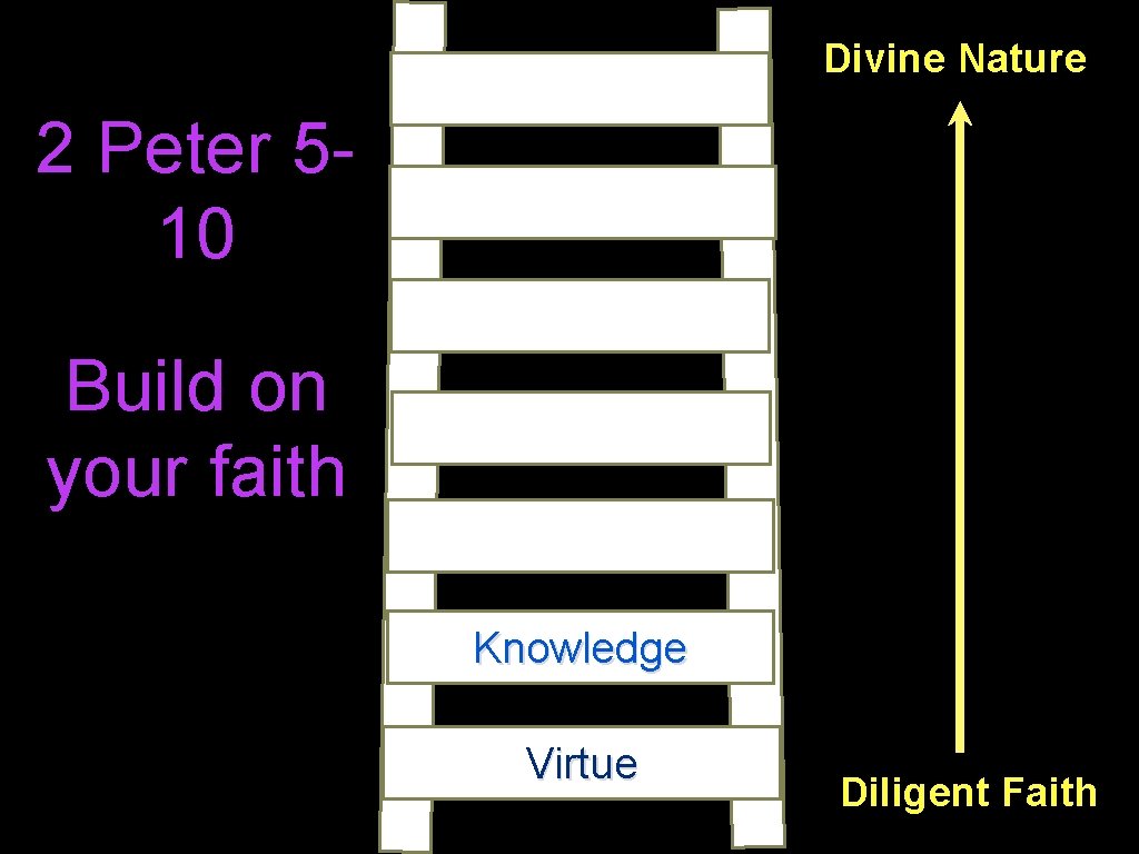 Divine Nature 2 Peter 510 Build on your faith Knowledge Virtue Diligent Faith 