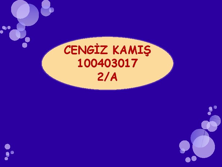 CENGİZ KAMIŞ 100403017 2/A 