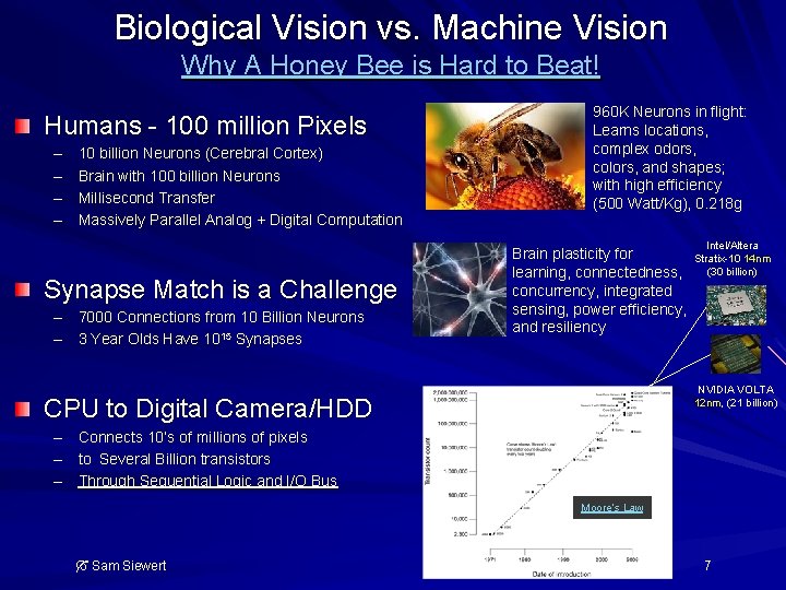 Biological Vision vs. Machine Vision Why A Honey Bee is Hard to Beat! Humans