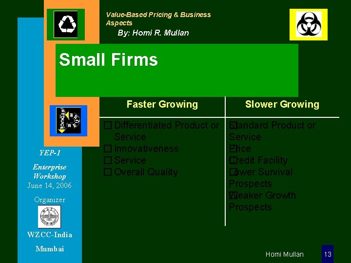 Value-Based Pricing & Business Aspects By: Homi R. Mullan Small Firms Faster Growing YEP-1