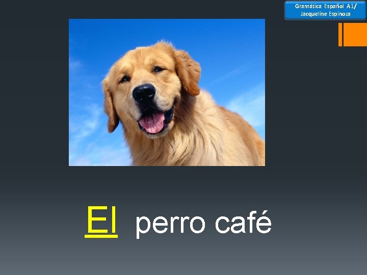 Gramática Español A 1/ Jacqueline Espinoza El perro café 