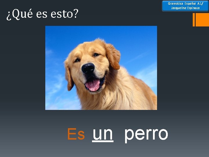 ¿Qué es esto? Es Gramática Español A 1/ Jacqueline Espinoza un perro 