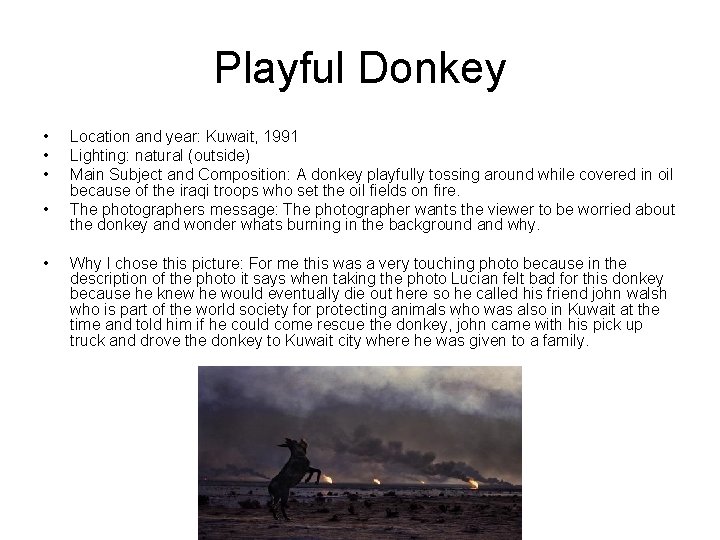 Playful Donkey • • • Location and year: Kuwait, 1991 Lighting: natural (outside) Main