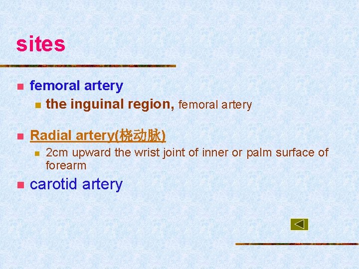 sites n femoral artery n the inguinal region, femoral artery n Radial artery(桡动脉) n