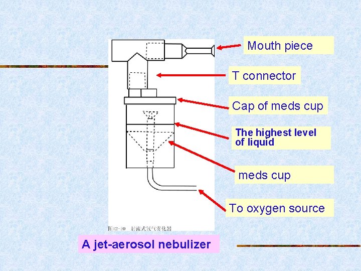 Mouth piece T connector Cap of meds cup The highest level of liquid meds