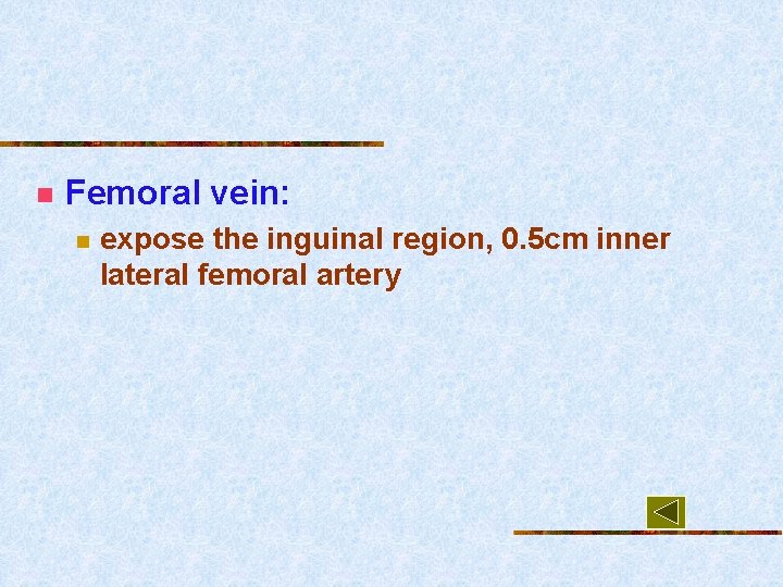 n Femoral vein: n expose the inguinal region, 0. 5 cm inner lateral femoral