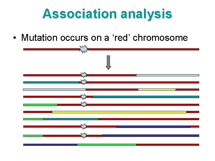 Association analysis • Mutation occurs on a ‘red’ chromosome 