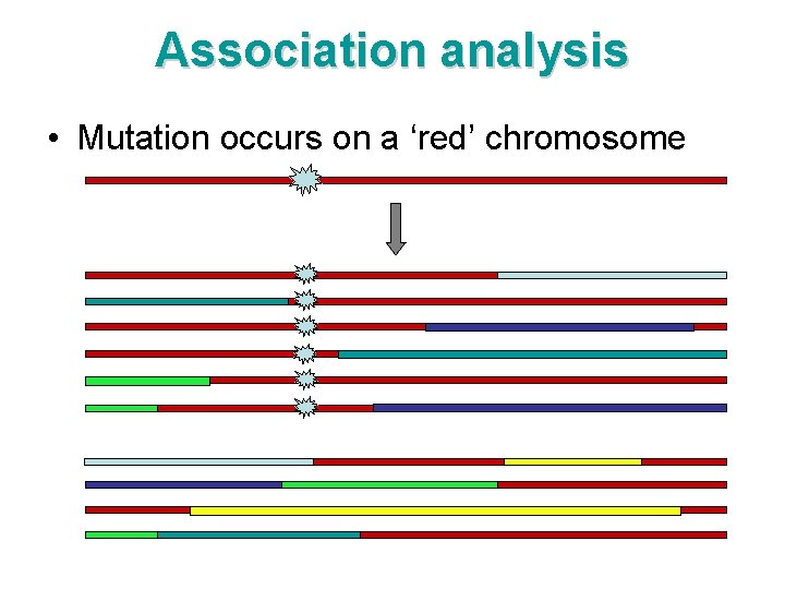 Association analysis • Mutation occurs on a ‘red’ chromosome 