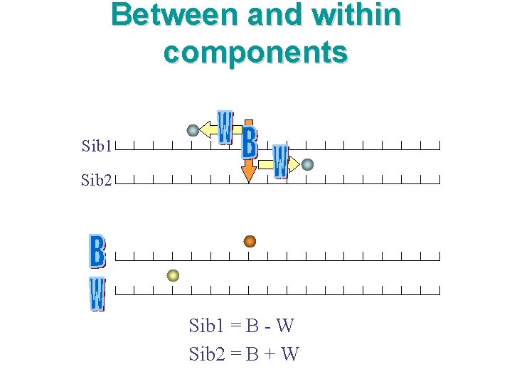 Between and within components Sib 1 Sib 2 Sib 1 = B - W