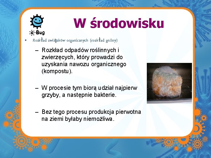 W środowisku • Rozkład związków organicznych (rozkład gnilny) – Rozkład odpadów roślinnych i zwierzęcych,