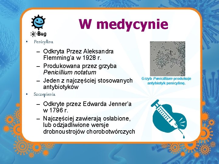 W medycynie • Penicylina – Odkryta Przez Aleksandra Flemming’a w 1928 r. – Produkowana