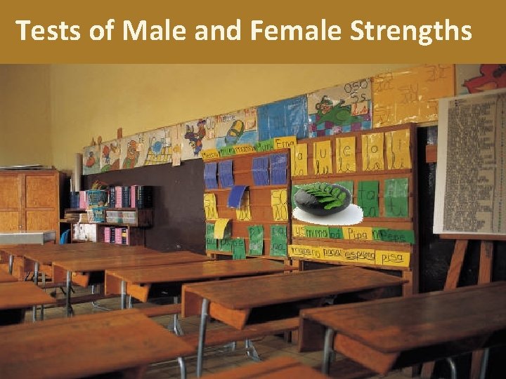 Tests of Male and Female Strengths Standard 