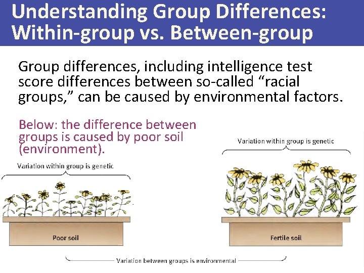Understanding Group Differences: Within-group vs. Between-group Group differences, including intelligence test score differences between
