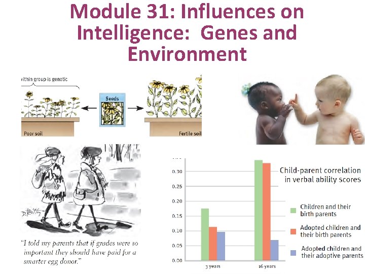 Module 31: Influences on Intelligence: Genes and Environment 