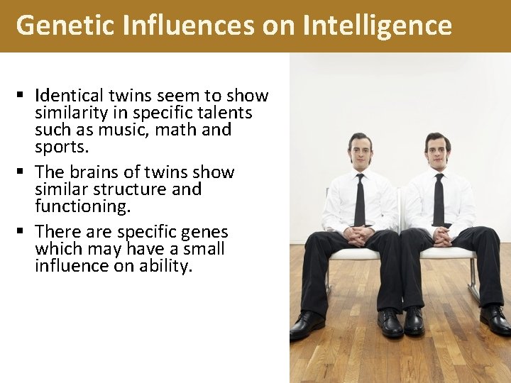Genetic Influences on Intelligence § Identical twins seem to show similarity in specific talents