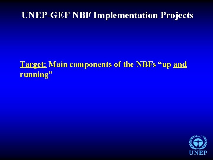 UNEP-GEF NBF Implementation Projects Target: Main components of the NBFs “up and running” 