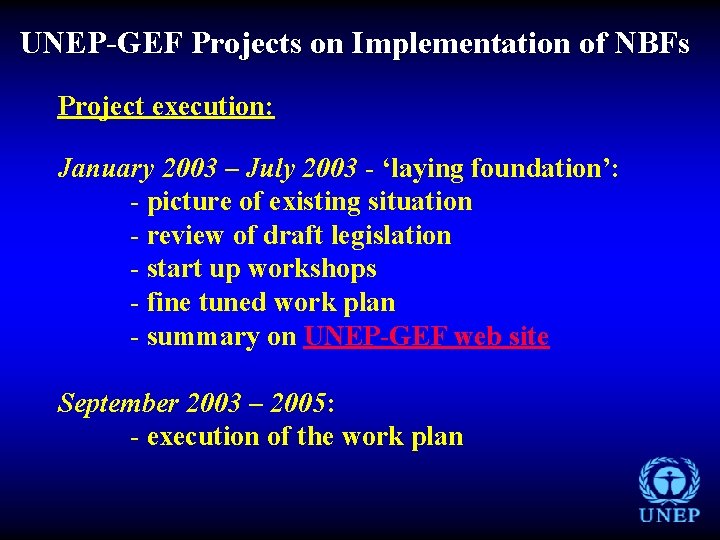 UNEP-GEF Projects on Implementation of NBFs Project execution: January 2003 – July 2003 -