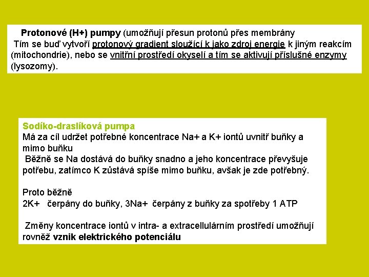 Protonové (H+) pumpy (umožňují přesun protonů přes membrány Tím se buď vytvoří protonový gradient