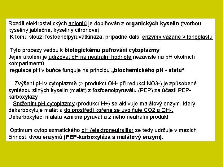 Rozdíl elektrostatických aniontů je doplňován z organických kyselin (tvorbou kyseliny jablečné, kyseliny citronové) K