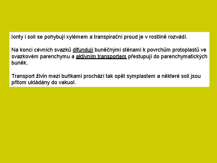 Ionty i soli se pohybují xylémem a transpirační proud je v rostlině rozvádí. Na