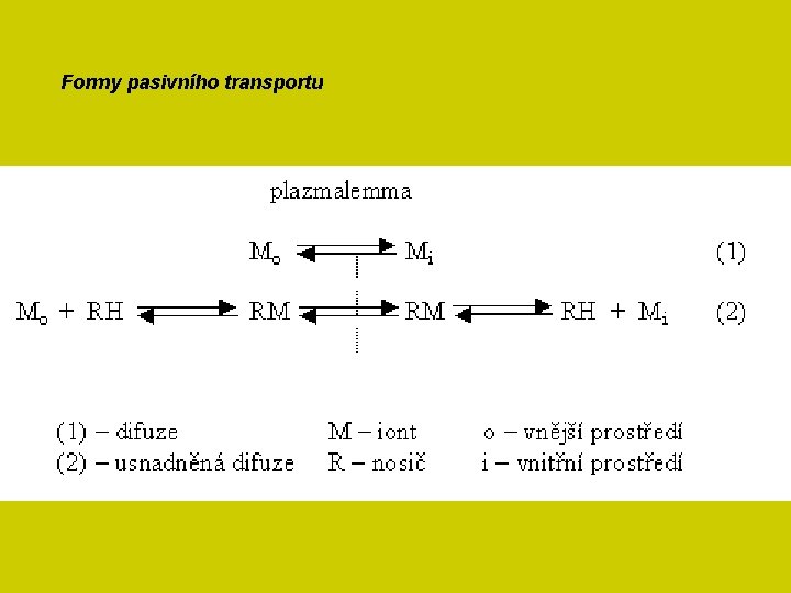 Formy pasivního transportu 