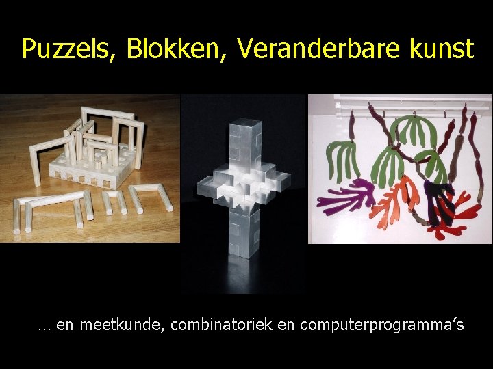 Puzzels, Blokken, Veranderbare kunst … en meetkunde, combinatoriek en computerprogramma’s 