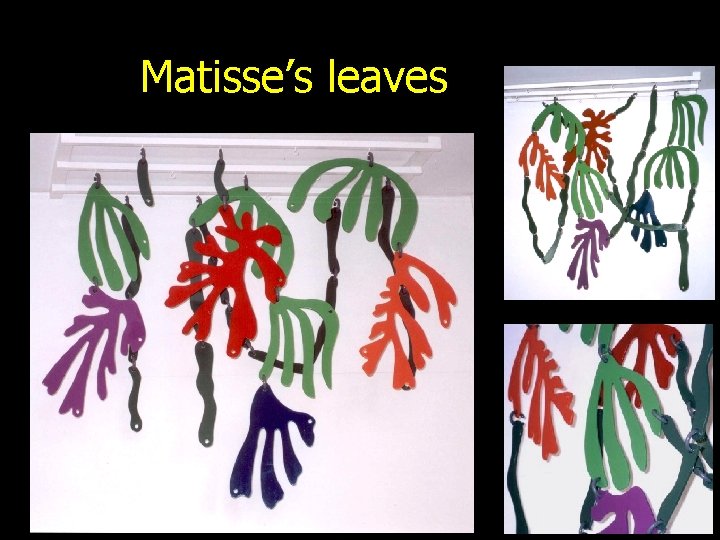 Matisse’s leaves 