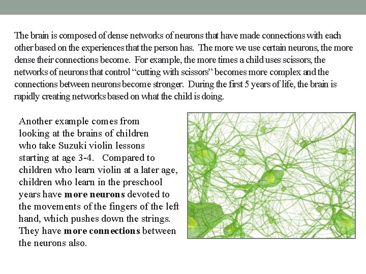 The brain is composed of dense networks of neurons that have made connections with