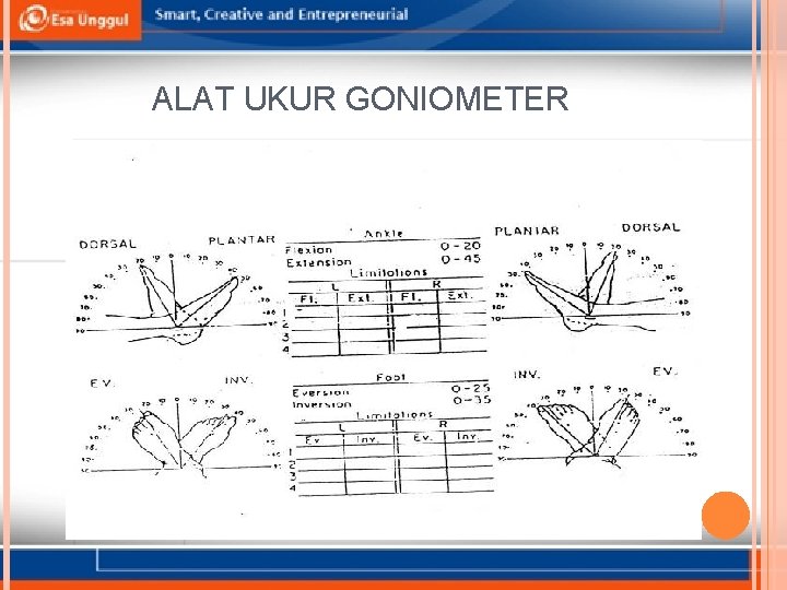 ALAT UKUR GONIOMETER 