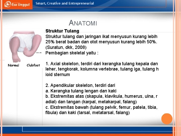 ANATOMI Struktur Tulang Struktur tulang dan jaringan ikat menyusun kurang lebih 25% berat badan