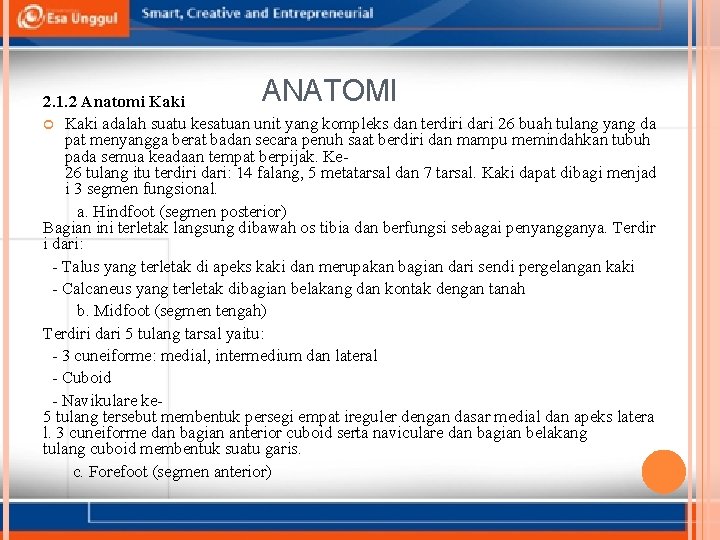 ANATOMI 2. 1. 2 Anatomi Kaki adalah suatu kesatuan unit yang kompleks dan terdiri